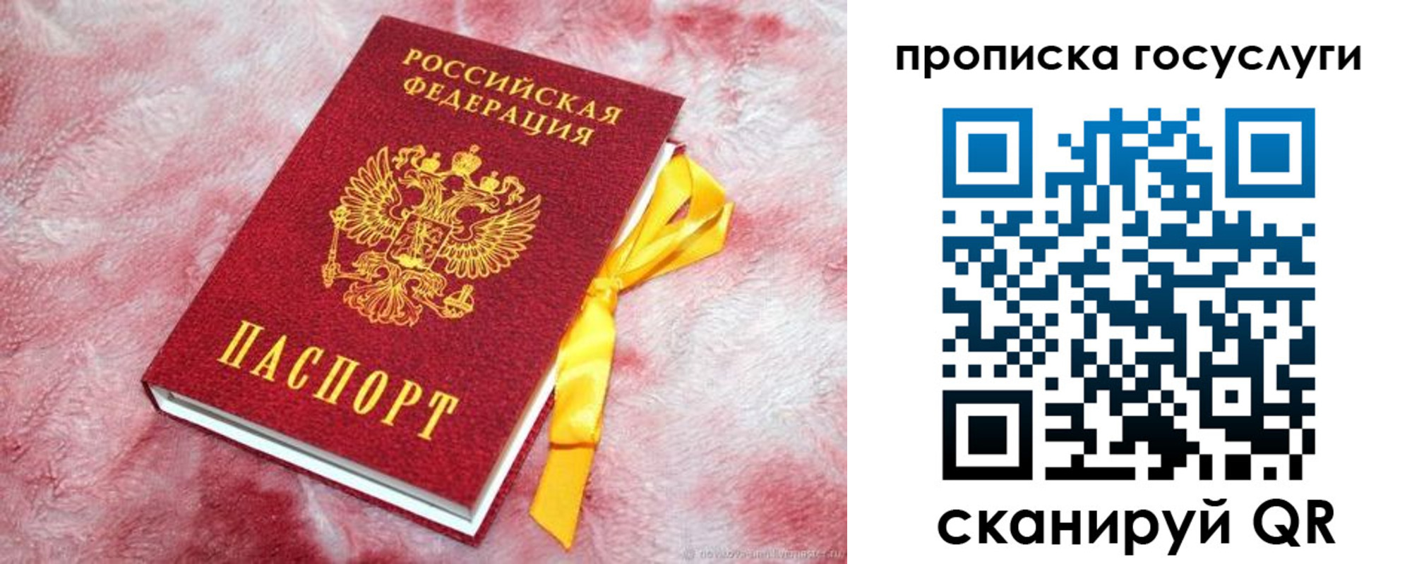 регистрация в Волгоградской области